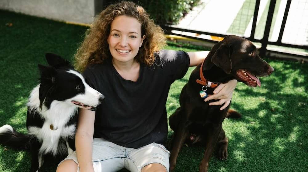 petplanhero-team